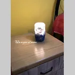 Un Sogno Al Mare * צ'ריאלה