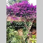 בית נופש Un Sogno Al Mare