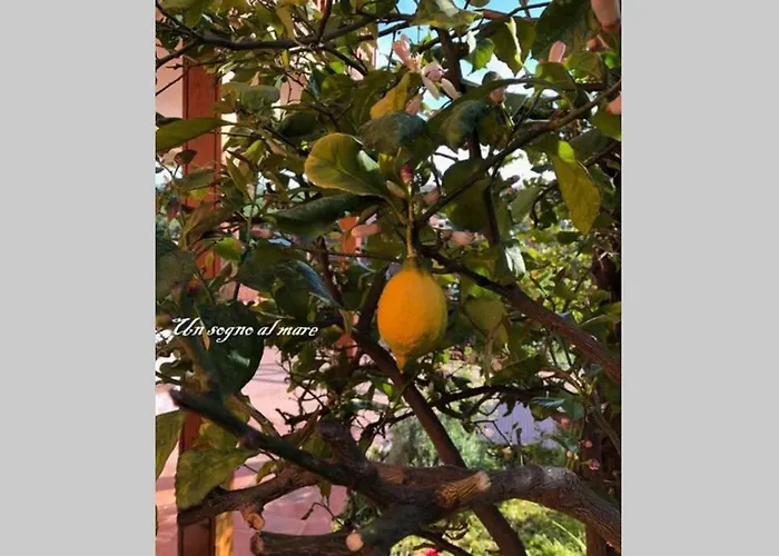 Un Sogno Al Mare Hébergement de vacances *