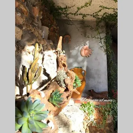 Un Sogno Al Mare كيريالي