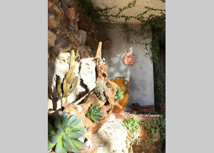 Un Sogno Al Mare Ceriale